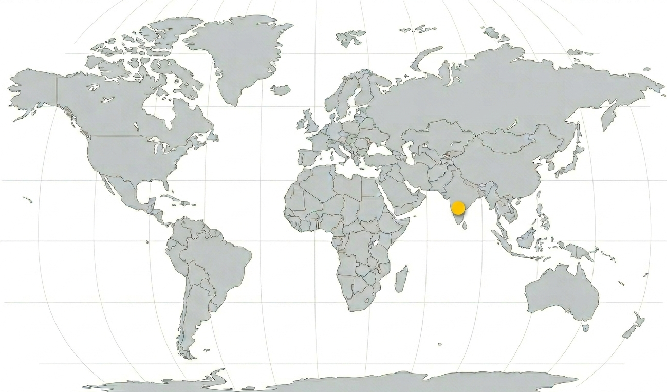 World map representing cross-border business expansion